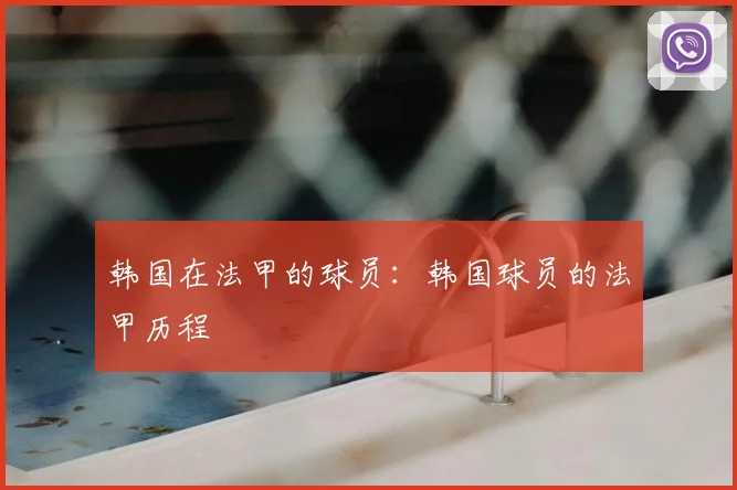 韩国在法甲的球员:韩国球员的法甲历程
