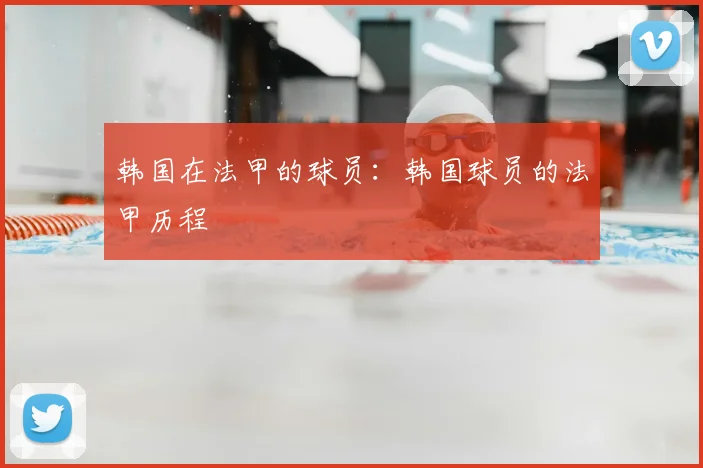 韩国在法甲的球员:韩国球员的法甲历程