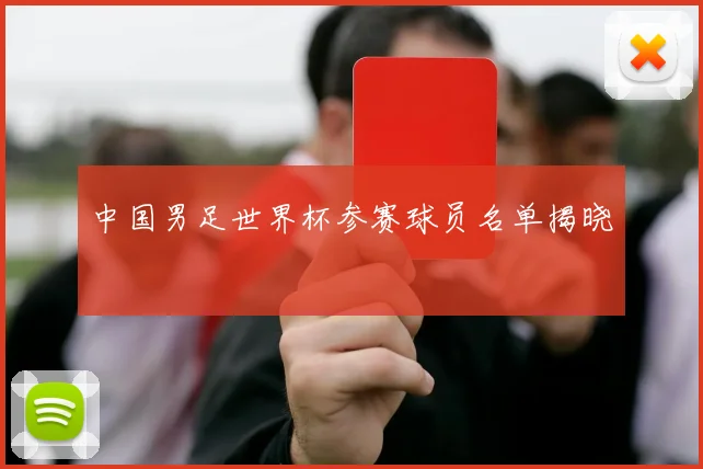 中国男足世界杯参赛球员名单揭晓