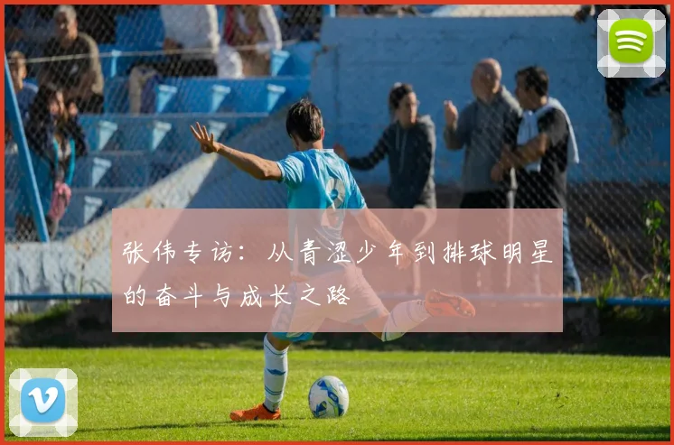 张伟专访:从青涩少年到排球明星的奋斗与成长之路